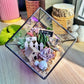 Black Frame Cubical Succulent Terrarium