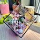 Black Frame Cubical Succulent Terrarium