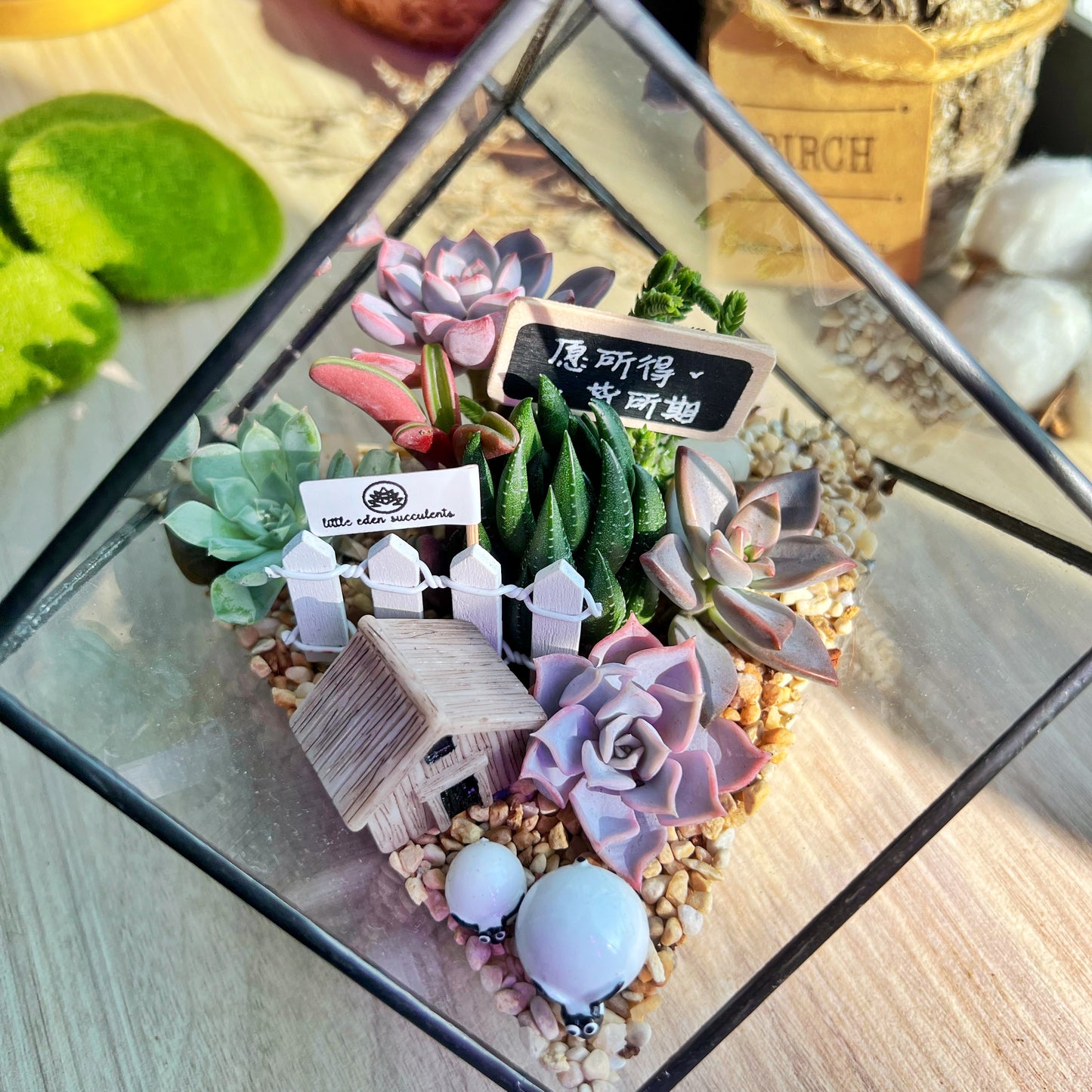 Black Frame Cubical Succulent Terrarium