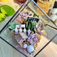 Black Frame Cubical Succulent Terrarium