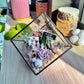 Black Frame Cubical Succulent Terrarium