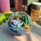 Round Glass Succulent Terrarium (M)