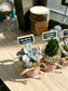 Succulent in glass pot- Wedding Door Gift Ideas