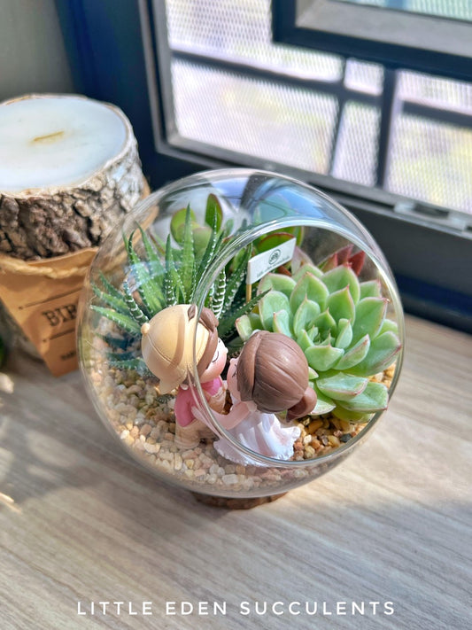 Round Glass Succulent Terrarium (L)