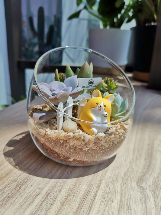 Slanted Glass Succulent Terrarium (L)