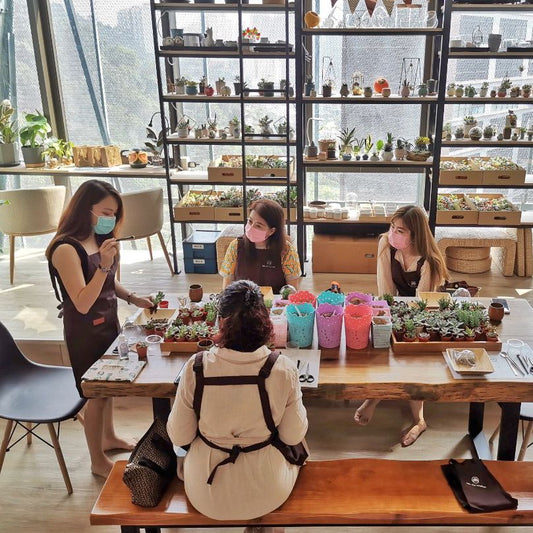 Terrarium Workshop Pass as Gift