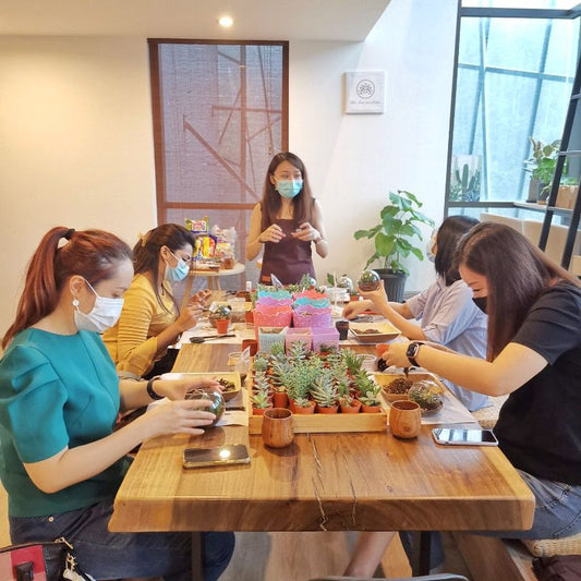 Terrarium Workshop Pass as Gift