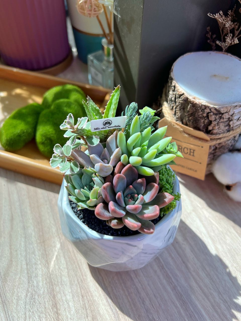 Assorted Colourful Succulents Arrangement in marble polygonal pot