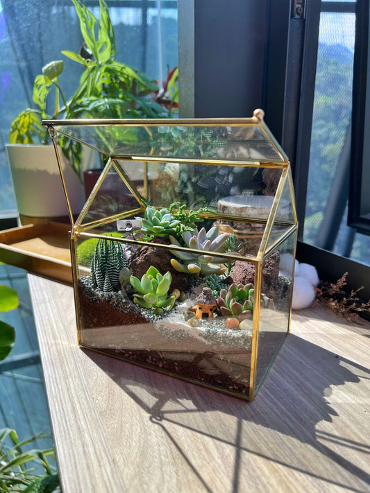 House Glass Succulent Terrarium DIY Kit - Gold Frame