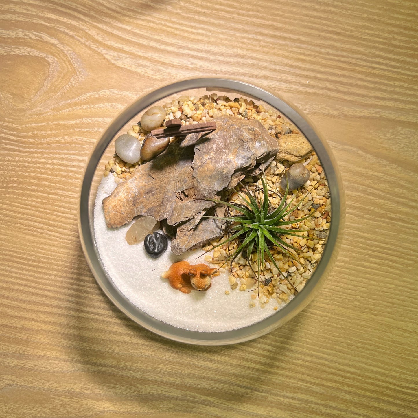 Air Plant with Deer in Round Glass (L)