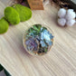 Round Glass Succulent Terrarium (M)