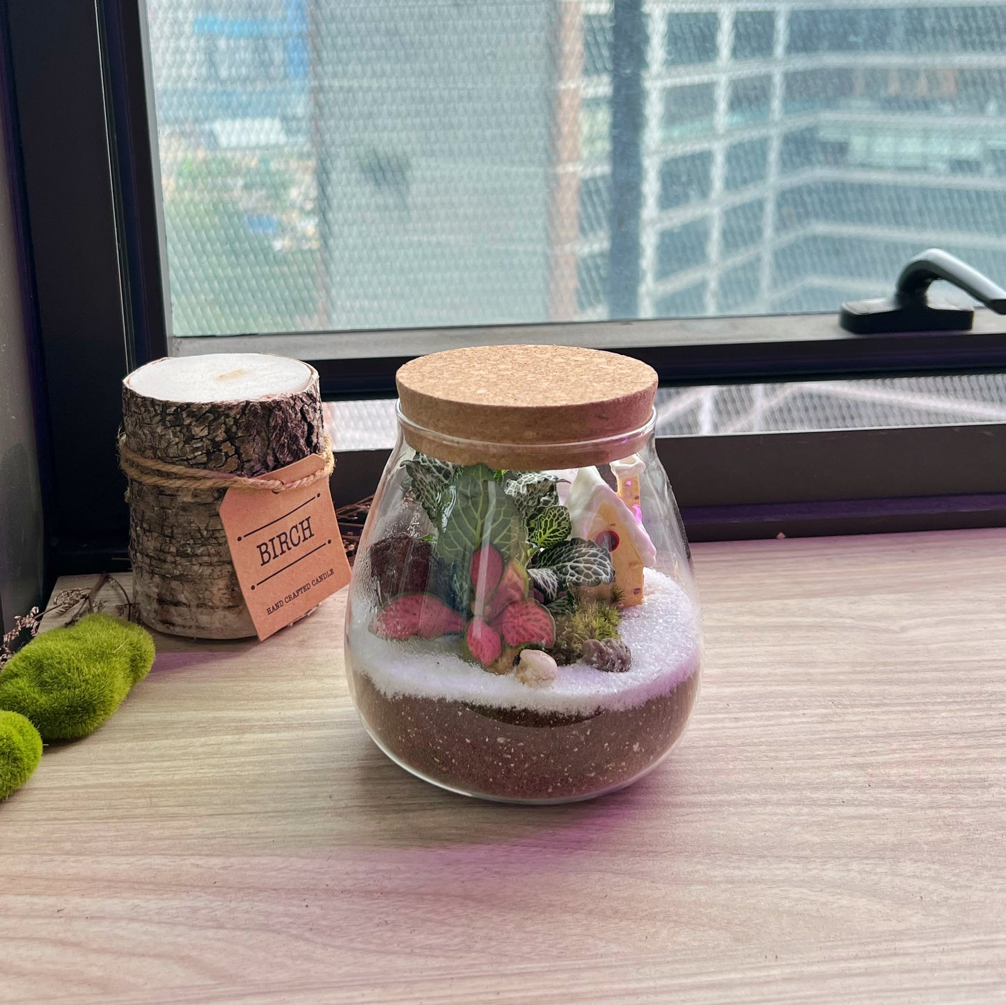 Indoor Plants in Round Covered Glass (L)