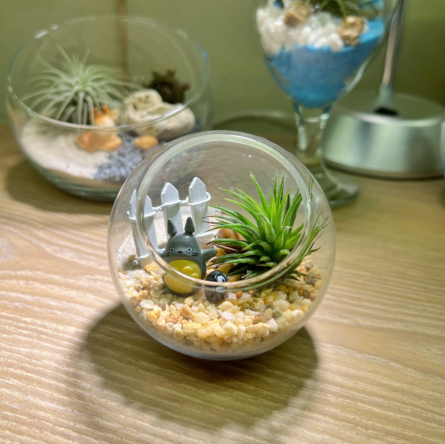 Air Plant with Totoro in Round Glass (S) (Valentine's Day 2024)