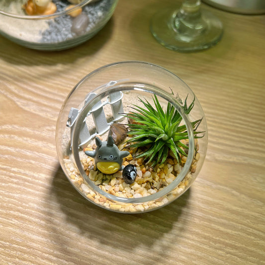 Air Plant with Totoro in Round Glass (S) (Valentine's Day 2024)