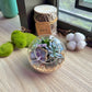 Round Glass Succulent Terrarium (M)