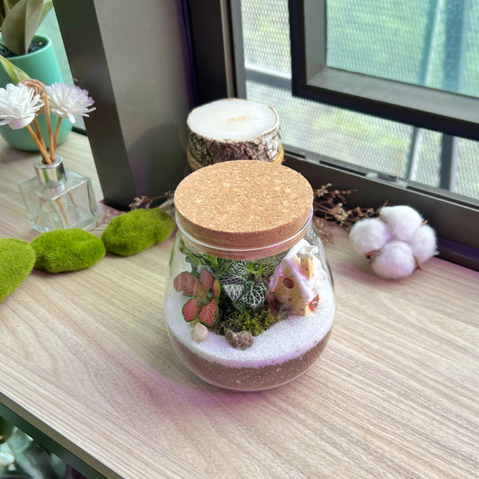 Indoor Plants in Round Covered Glass (L)