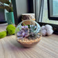 Round Glass Succulent Terrarium (M)