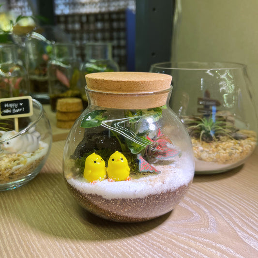 Indoor Plants in Round Covered Glass (S)