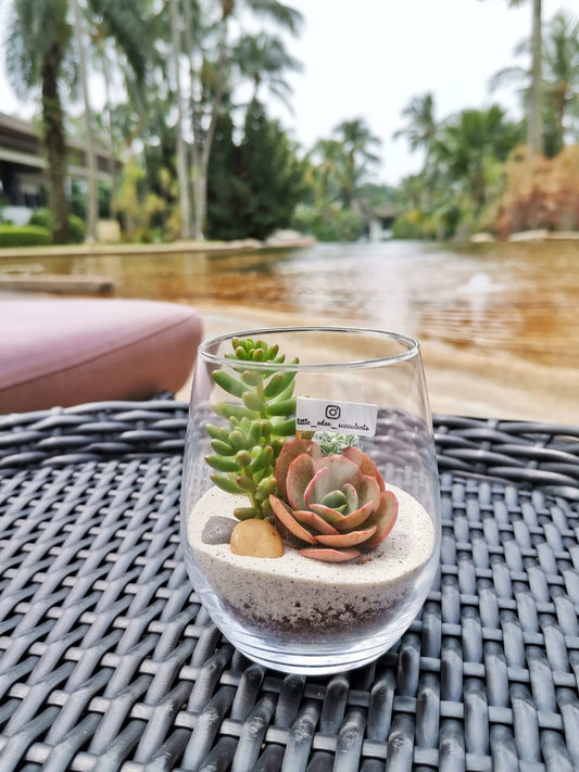 Tall Glass Succulent Terrarium (S)